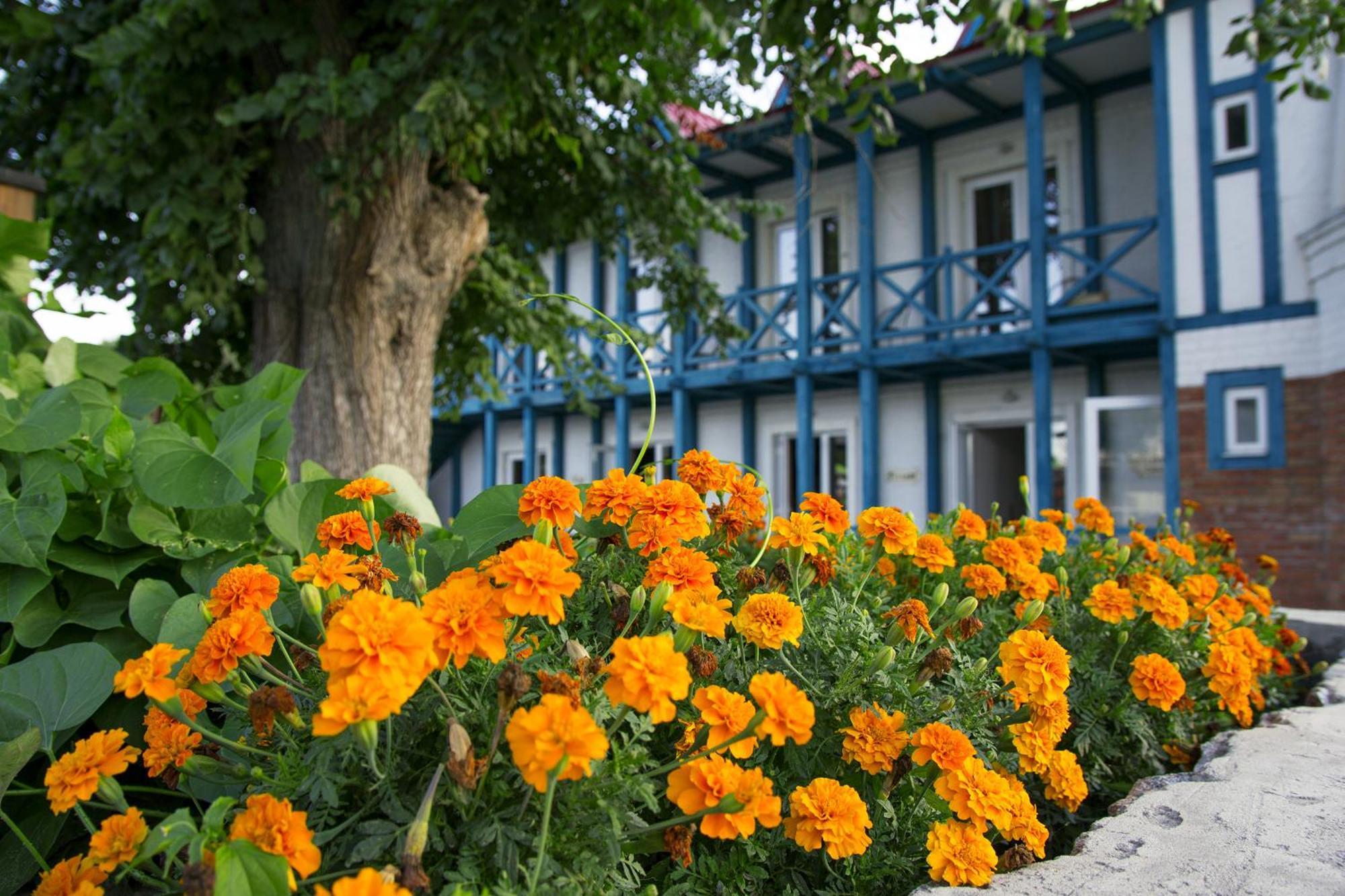 Mayak Resort Kam'yani Potoky Dış mekan fotoğraf